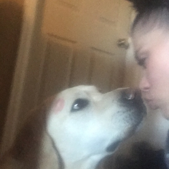 Meet your Posher, Danny - Picture 5 of 7